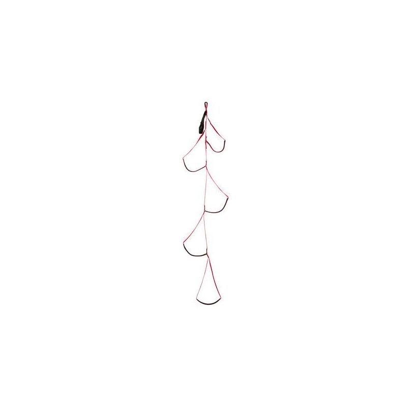Kunstklauw Black Diamond Alpine Aider (rood/zwart)