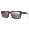 Oakley HOLBROOK solbriller (stål - Prizm daglig polarisert)