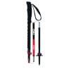 Bâtons trekking Connect Carbon 5 M Push and Pull TSL