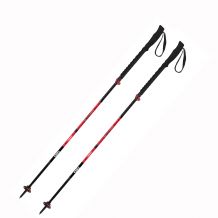 Bâtons trekking Connect Carbon 5 M Push and Pull TSL