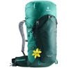 Sac à dos Deuter Speed Lite 30 SL (forest alpinegreen) femme