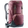 Zaino Deuter Walker 24 Bordeaux/Granito