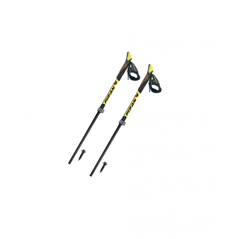 Batons de marche nordique Nw Pro Fizan
