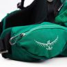 Osprey Rook 50 Rucksack - Mallard Green