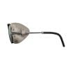 Lunettes De Soleil Julbo Cham (Argent / Noir - Spectron 4)