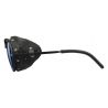 Lunettes De Soleil Julbo Cham (Argent / Noir - Spectron 4)