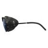 Lunettes De Soleil Julbo Cham (Argent / Noir - Spectron 4)