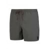 Protest FAST beachshort swim shorts (Grey Green)