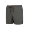 Protest FAST beachshort - Couleur : Grey Green