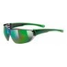 Lunettes de soleil Uvex Sportstyle 204 (2110)