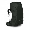 Osprey Rook 65 (Mallard Green)