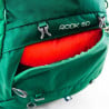 Osprey Rook 65 (Mallard Green)