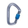 Hotforge Screwgate Carabiner Black Diamond (Gray)