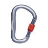 Rocklock Screwgate Carabiner Black Diamond (Gray)