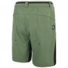 Robust Shorts Picture C : C Army Green