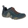 Intercept / Blue Wing Merrell