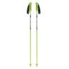 BATON VERTICAL CARBON 41031 Skitrab