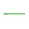 Ski strap Black Diamond Ski Strap 50cm (Envy Green)