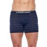 Icebreaker Mens Anatomica Zone Boxers (black)