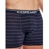 Boxer da uomo Icebreaker Anatomica Zone (black)