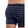 Boxer da uomo Icebreaker Anatomica Zone (black)