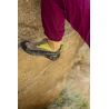 Cobra Eco (Falcon Brown/Apple Green) La Sportiva