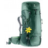 Women's Deuter Futura Vario 45+10 SL (seagreen forest) backpack