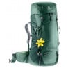 Deuter Futura Vario 45+10 SL Rucksack (seagreen forest) Frau