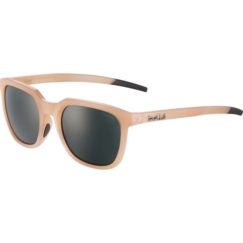 Occhiali da sole Bollé Talent (moka trasparente opaco TNS)
