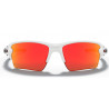 Lunettes de Soleil FLAK™ 2.0 XL Oakley (Retina burn - Prizm road)