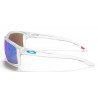 Oakley Gibston (Transparent / Prizm sapphire)
