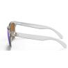 Oakley Frogskins (Transparent / Prizm violet)