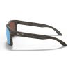 Oakley Holbrook (Marron / Prizm deep h2o polarized)
