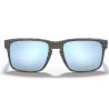 Oakley Holbrook (Marron / Prizm deep h2o polarized)