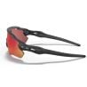 Oakley Radar Ev Path (Noir / Prizm trail torch)