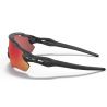 Oakley Radar Ev Path (Noir / Prizm trail torch)