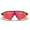 Oakley Radar Ev Path (Noir / Prizm trail torch)