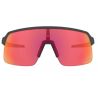 Oakley Sutro Lite (Gris / Prizm trail torch)