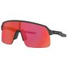 Oakley Sutro Lite (Gris / Prizm trail torch)