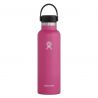 21 Oz Standard Flex Cap Hydroflask CARNATION