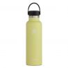 Gourde HydroFlask 21 Oz Standard Flex Cap (pineapple)