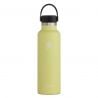 HydroFlask 21 Oz Standard Flex Cap (pineapple)