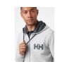 Hh Logo Full Zip Hoodie Helly Hansen (grey Melange)