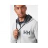 Hh Logo Full Zip Hoodie Helly Hansen (grey Melange)