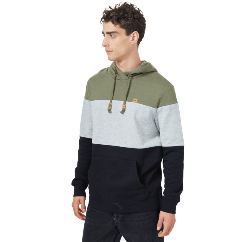 Sudadera con capucha Tentree Treefleece Blocked Reynard para hombre (verde liquen/gris alto/ negro meteorito)
