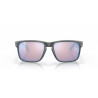 Oakley Holbrook Sunglasses (Brown - Prizm deep h2o polarized)
