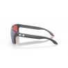 Gafas de sol Oakley Holbrook (Marrón - Prizm deep h2o polarizado)