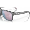 Gafas de sol Oakley Holbrook (Marrón - Prizm deep h2o polarizado)