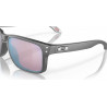 Oakley Holbrook solglasögon (Brown - Prizm deep H2O polarized)