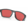 Oakley Holbrook solglasögon (Brown - Prizm deep H2O polarized)